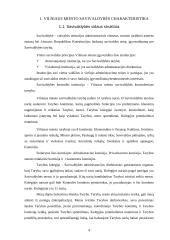 Baigiamosios praktikos ataskaita: Vilniaus miesto savivaldybė 4 puslapis