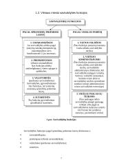Baigiamosios praktikos ataskaita: Vilniaus miesto savivaldybė 7 puslapis