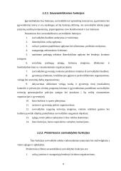 Baigiamosios praktikos ataskaita: Vilniaus miesto savivaldybė 8 puslapis