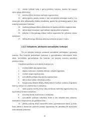 Baigiamosios praktikos ataskaita: Vilniaus miesto savivaldybė 10 puslapis