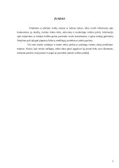 Gamybinė praktika: žuvininkystė ir prekyba drabužiais 2 puslapis