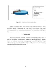 Gamybinės praktikos ataskaita: autoserviso paslaugos UAB "Krasta Auto" 11 puslapis