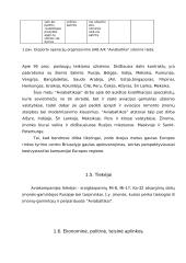 Gamybinės praktikos ataskaita: aviacijos kompanija UAB "Aviabaltika" 11 puslapis