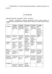 Gamybinės praktikos ataskaita: aviacijos kompanija UAB "Aviabaltika" 10 puslapis