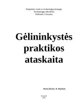 Gėlininkystes praktikos ataskaita kraštotvarkos katedroje