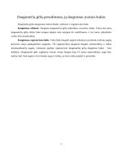 Gėlininkystes praktikos ataskaita kraštotvarkos katedroje 5 puslapis