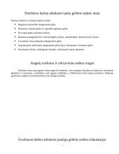 Gėlininkystes praktikos ataskaita kraštotvarkos katedroje 7 puslapis