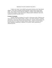 Mokomosios praktikos ataskaita: želdynų inžinerinės sistemos 11 puslapis