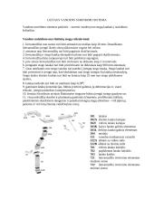 Mokomosios praktikos ataskaita: želdynų inžinerinės sistemos 4 puslapis