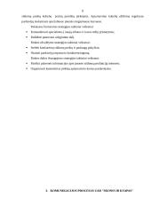 Pardavimo organizavimo profesinė praktika: arbatos parduotuvių tinklas UAB "Skonis ir kvapas" 8 puslapis