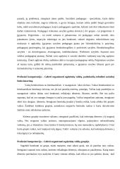 Pažintinės praktikos ataskaita: lopšelis-darželis "Rasa" 6 puslapis