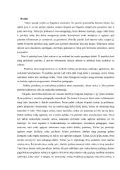 Pažintinės praktikos ataskaita: lopšelis-darželis "Rasa" 8 puslapis