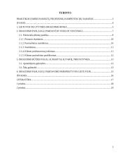 Praktika: draudimo paslaugų pardavimai 2 puslapis