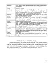 Praktika: draudimo paslaugų pardavimai 12 puslapis