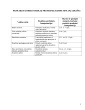 Praktika: draudimo paslaugų pardavimai 3 puslapis
