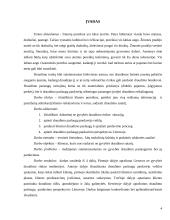 Praktika: draudimo paslaugų pardavimai 4 puslapis