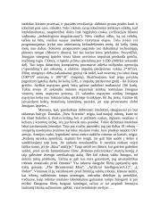 Dirbtinis intelektas. Ar galime pasitikėti dirbtiniu intelektu? 3 puslapis