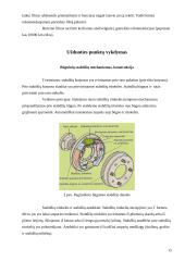 Praktikos ataskaita: autoservisas KEMI 15 puslapis