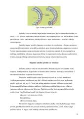 Praktikos ataskaita: autoservisas KEMI 16 puslapis