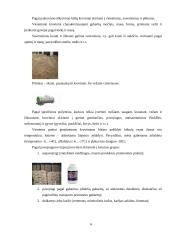 Praktikos ataskaita: krovinių pervežimas UAB "MTL Group" 5 puslapis