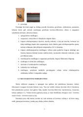 Praktikos ataskaita: krovinių pervežimas UAB "MTL Group" 6 puslapis