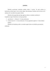 Praktikos ataskaita: Mažeikių specialioji mokykla 2 puslapis