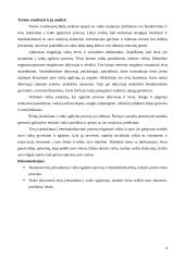 Praktikos ataskaita: Mažeikių specialioji mokykla 4 puslapis