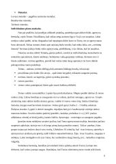 Praktikos ataskaita: Mažeikių specialioji mokykla 9 puslapis