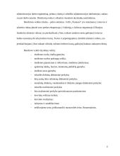 Praktikos ataskaita: medienos ruoša UAB "Vlatausa" 2 puslapis