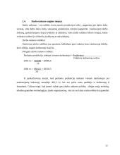 Praktikos ataskaita: medienos ruoša UAB "Vlatausa" 10 puslapis