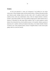 Profesinė praktika: dizaino ir reklamos firma UAB "Ketvirtasis matmuo" 19 puslapis