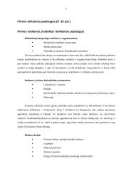 Profesinė praktika: dizaino ir reklamos firma UAB "Ketvirtasis matmuo" 7 puslapis