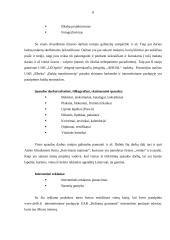 Profesinė praktika: dizaino ir reklamos firma UAB "Ketvirtasis matmuo" 8 puslapis