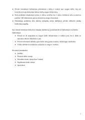 Profesinės praktikos ataskaita: kompiuterinės technikos priežiūra 7 puslapis