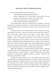 Profesinės praktikos ataskaita: vadovo padėjėjas Vilniaus kolegijoje 4 puslapis