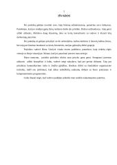 Profesinės praktikos ataskaita: vadovo padėjėjas Vilniaus kolegijoje 7 puslapis