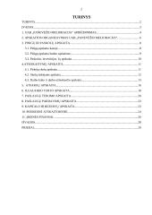 Profesinės veiklos praktikos ataskaita: melioracijos įmonė UAB "Panevėžio melioracija" 2 puslapis