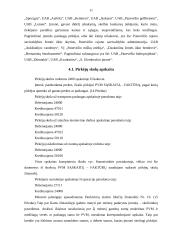 Profesinės veiklos praktikos ataskaita: melioracijos įmonė UAB "Panevėžio melioracija" 11 puslapis