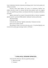 Profesinės veiklos praktikos ataskaita: melioracijos įmonė UAB "Panevėžio melioracija" 19 puslapis