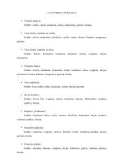 Specializacijos praktikos ataskaita: Žemaitijos kolegijos valgykla 11 puslapis