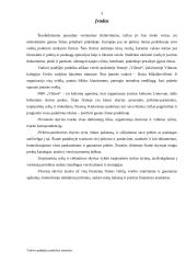 Vadovo padėjėjo praktikos ataskaita: kelionių agentūra PMF "Vilionė" 3 puslapis