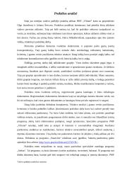 Vadovo padėjėjo praktikos ataskaita: kelionių agentūra PMF "Vilionė" 4 puslapis