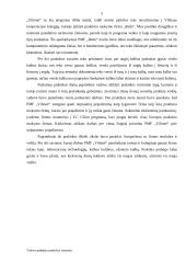 Vadovo padėjėjo praktikos ataskaita: kelionių agentūra PMF "Vilionė" 5 puslapis