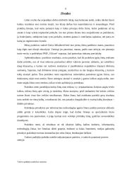 Vadovo padėjėjo praktikos ataskaita: kelionių agentūra PMF "Vilionė" 6 puslapis