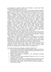 Fiodoras Dostojevskis 4 puslapis