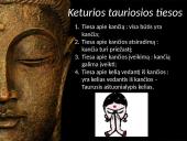 Budizmo religija 6 puslapis