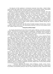 Gražiausios mano gimtosios apylinkės lankytinos vietos 2 puslapis