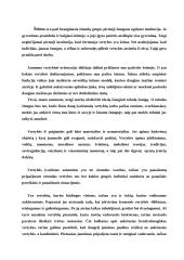 Jauno žmogaus vertybės 2 puslapis