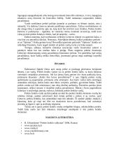 Prekės ženklo vardas 5 puslapis