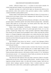 Vaikų fizinis aktyvumas darželyje ir namuose 2 puslapis